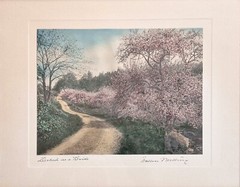 Wallace NUTTING (1861-1941) „Decked as a Bride“ Hand Colored, Signed & Titled