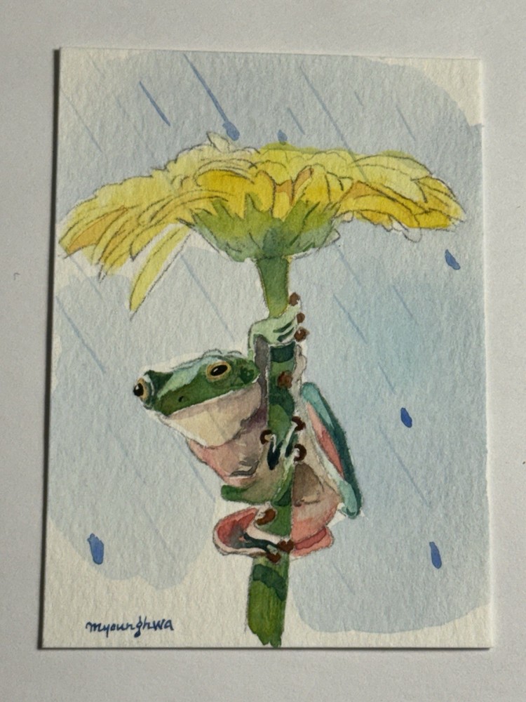 ACEO Original Painting Watercolor Flower Umbrella Tree Frog ATC Anna Lee 2018