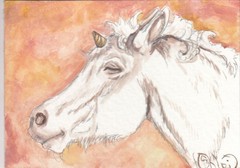 ACEO original Watercolor Art Card HORSE Fantasy. Stop. breathe. Be the unicorn
