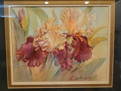 Framed Watercolor Iris Flower Painting Signed W. Winchester 14×16