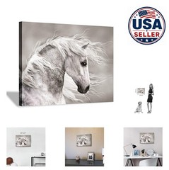 Canvas Horse Wall Art 16×11 Animal Painting White Horse Landscape