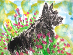 ACEO Cute BLACK SCOTTISH TERRIER Dog Watercolor Painting ART