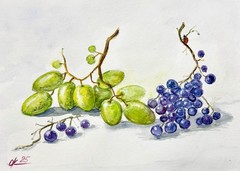 Watercolor green Grapes Still Life with Fruit ladybug Botanical Fruit Painting