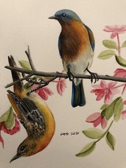 Blue Birds: 9×12 Original Watercolor Painting