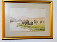 JULIUS J. RORPHURO (1861-1928, France-Calif.); ‚BUFFALOS GRAZING‘, W/C, Signed