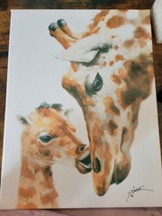 Giraffe Oil Paintings Set of 3 16×12