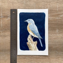 Blue Bird Watercolor and Gouache Painting, signed, Original 6×9 inches
