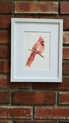 Red Cardinal. Print of an original watercolor painting. 5×7″with white mat 8×10″