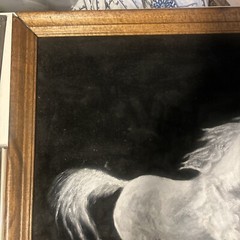 Horse Painting Signed DM 29 1/2”x 23 1/2” 32 1/2 X 26 1/2” With Frame
