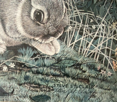 Steve St. Clair Limited Edition Print Signed Rabbits Farm Barn Matted Framed VTG