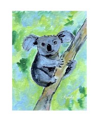 Aceo Gouache Koala Painting By Kenna 2.5” X 3.5” Signed Original