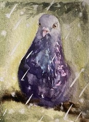 ACEO 100% Hand Painted Original Mixed Media Painting Art Bird