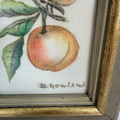 Peach And Butterfly Painting Framed 6”x7” By D. Gawland