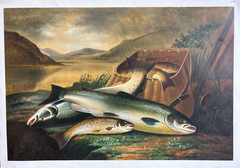 Fishing Day Catches by the River 36 x 24 Oil Painting on Canvas