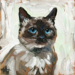 Original Painting Portrait of a Blue Eyed Siamese Cat 8×8 inches
