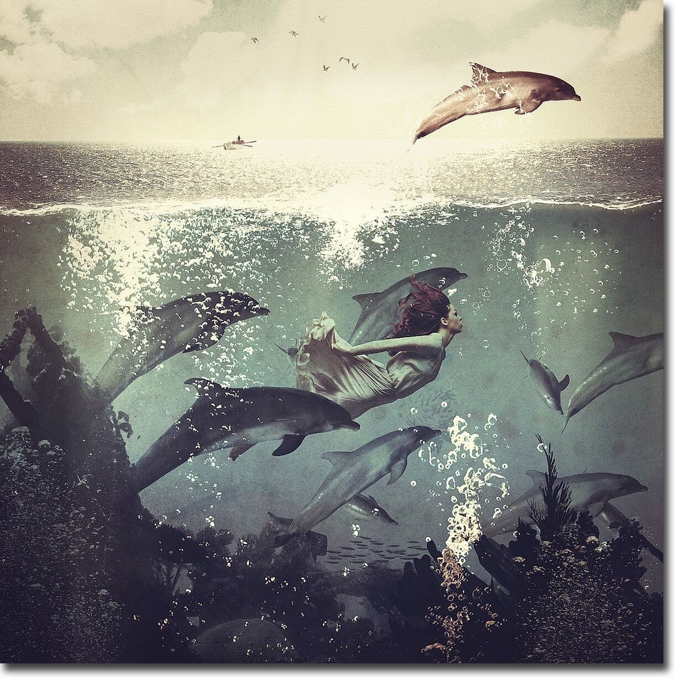 My Favorite Morning Race by Paula Belle Flores Canvas Giclee Art (30 in x 30 in)