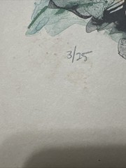 Painting floral watercolor Bohr signed 3/25, Still Life 18×24″, matted, Unframed