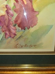 Framed Watercolor Iris Flower Painting Signed W. Winchester 14×16