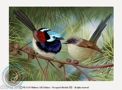 © ART Variegated Fairy Wren Australian Wildlife Bird Original Artist Print by Di
