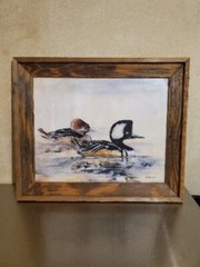 Lin Barrie Hooded Merganser/Ducks Oil Or Acrylic On Canvas Framed Painting