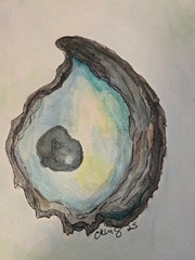 Original Coastal watercolor and ink painting of an Oyster Handpainted