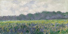 Hand-painted Oil Painting Claude Monet – Yellow iris in the field of Givini