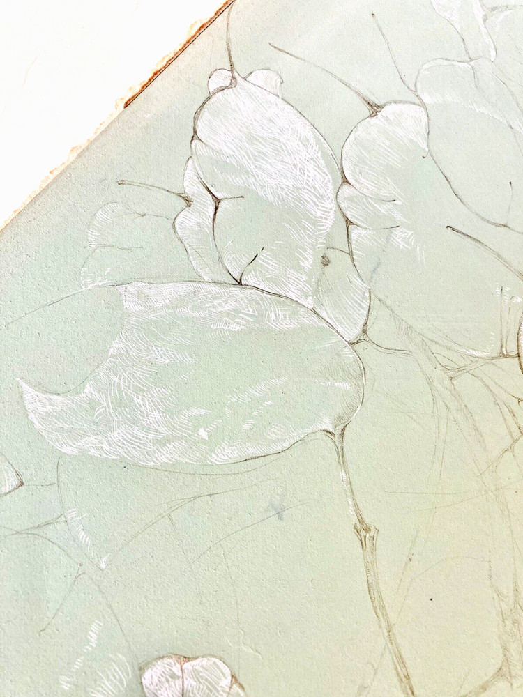 Lunaria or Lotus Leaf Study 21″ Soft Green Botanical Drawing 1970s Pond Plants