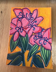 ACEO original art card West Virginia State Flower Rhododendron (48/50) pink