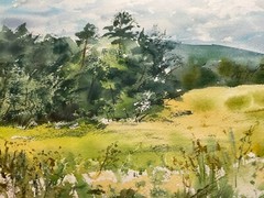 Original Watercolor Painting Landscape Nature Flowers Countryside – 9×12 inches