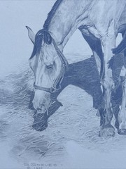HORSE FAMILY DRAWING HORSES REALISTIC REALISM SHERI GREVES LISTED VINTAGE FAMOUS