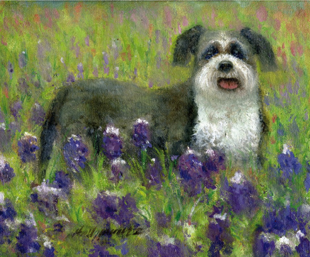 Shih Tzu Dog with Wild Flowers 8 x10 in. Original Oil on canvas HALL GROAT II