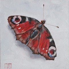 Red Butterfly Mini Oil Painting Peacock Eye Butterfly Art Original Still Life 4″