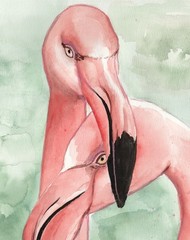 Original Watercolour, Flamingos, Birds, Animal Pictures, Art