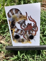 ACEO, PRINT Of My Watercolor Art 💦 , Zebra Moray Eel, Puhi And Octopus