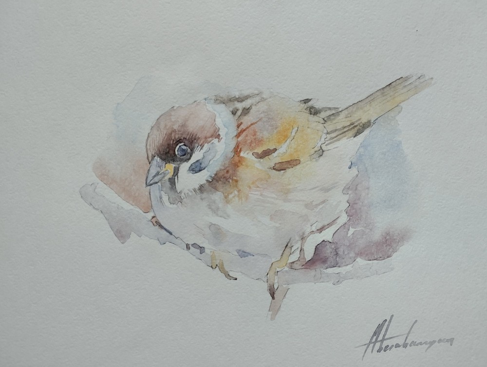 Sparrow, Birds, Watercolor artwork, Handmade, Original painting on paper