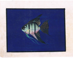 Handmade Painting Of Angel-fish Of Curacoo on Silk Cloth 9×7 Inches