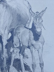 HORSE FAMILY DRAWING HORSES REALISTIC REALISM SHERI GREVES LISTED VINTAGE FAMOUS