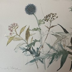 VTG Watercolor Print By Mads Stage Thistle & Butterfly 23×19 Wood Frame Danish