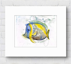 Original Tropical Fish Painting 12×9 Watercolor Yellow Blue Signed