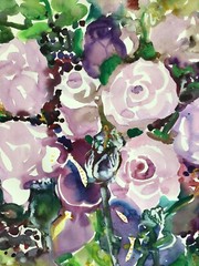 Purple roses 5.Original Watercolor Painting