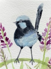 ACEO By Kenna Blue Fairy Wren Watercolour Painting 2.5” X 3.5” Signed ATC