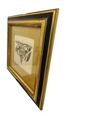 Art Crested Coventry Eagle Print Royal Coat of Arms Old Vintage Pair Framed Art