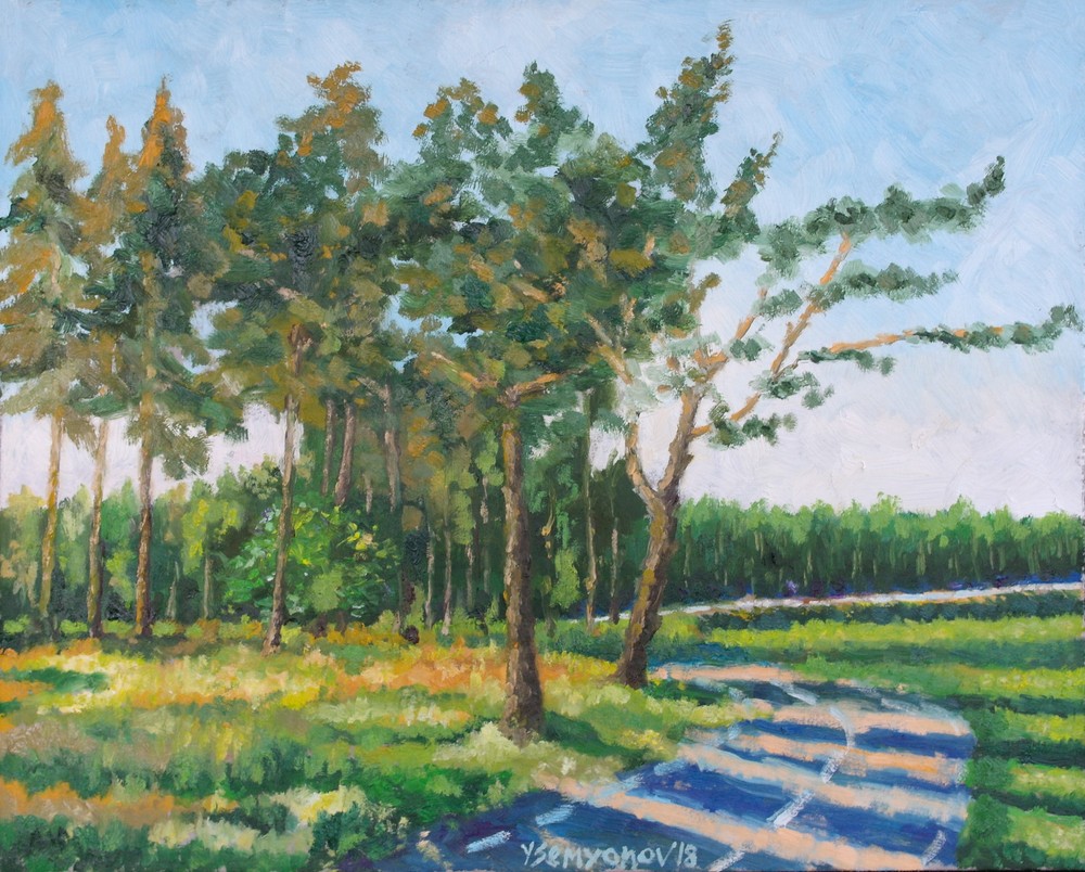 Evening Wood Original Oil Painting Cardboard 16×20 Hand Painted JSArt
