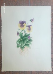 Vintage Artist Anne Hathaway Flower Watercolor Painting Purple Pansies SIGNED