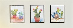 Succulents And Cactus Trio Original Watercolor Painting