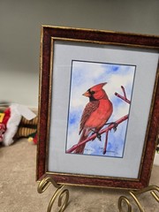 Cardinal Bird Watercolor Originals In Nature By Deb Zimmerman 5″ X 7″
