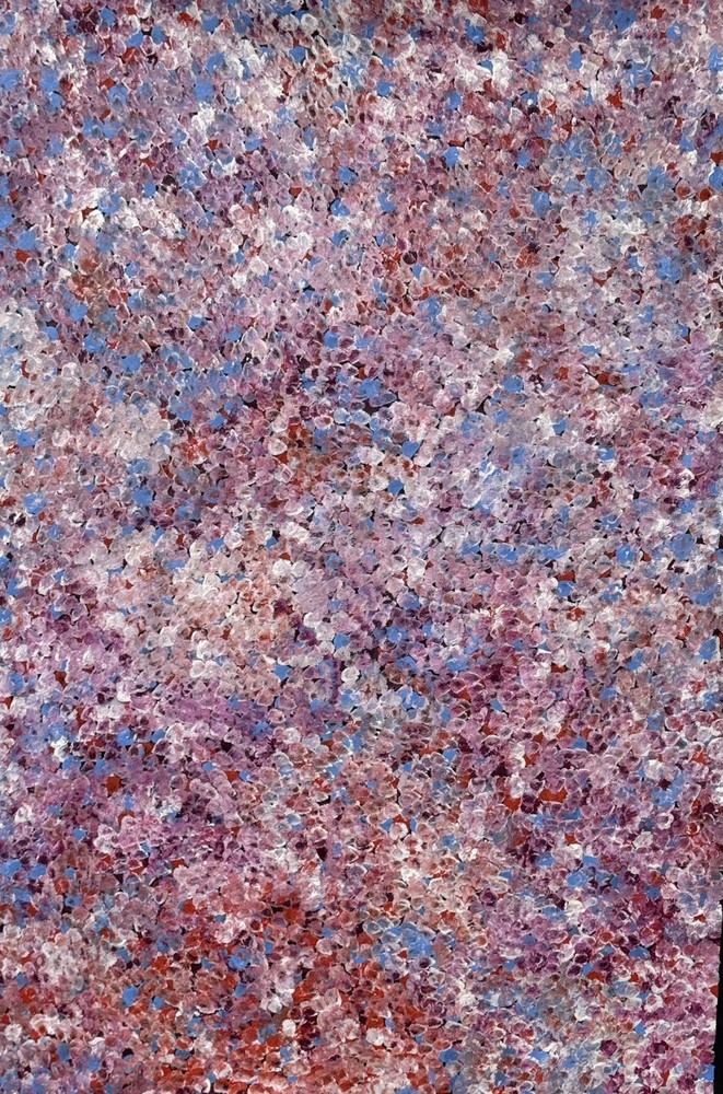 Bessie Pitjara 💕Aboriginal Art 110cm X 73cm COA Supplied BP14F-A