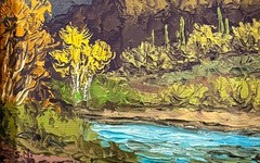 Sabino Creek, Tucson, Arizona Susan Nyberg