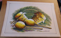 Original Salcedo Tropical Coconut Illustration – Dominican Republic Cultural Art