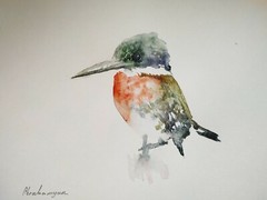 Kingfisher, Birds, Watercolor artwork, Handmade, Original painting on paper